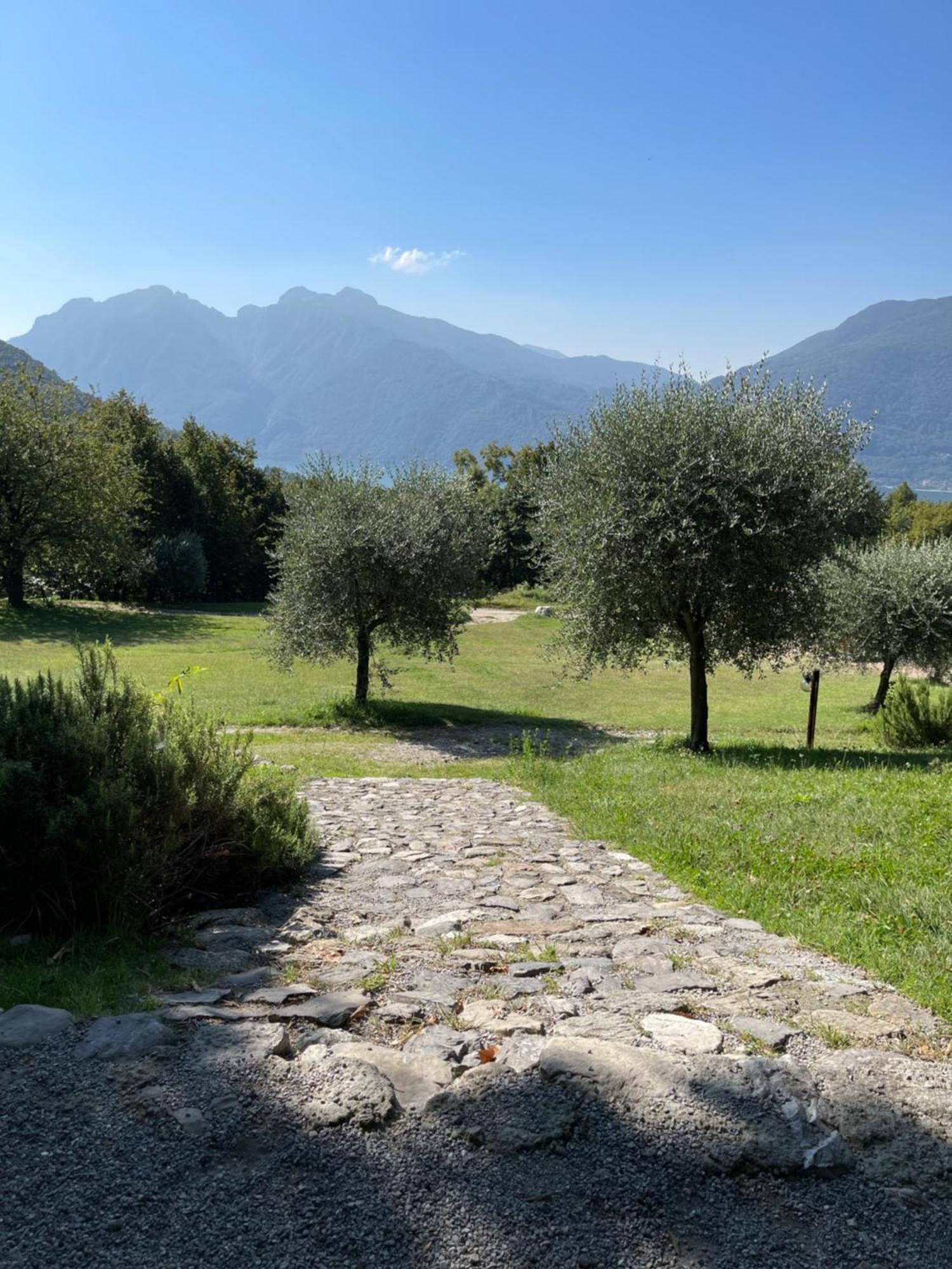 Agriturismo La Selvaggia แมนเดลโล เดล ลาริโอ ภายนอก รูปภาพ