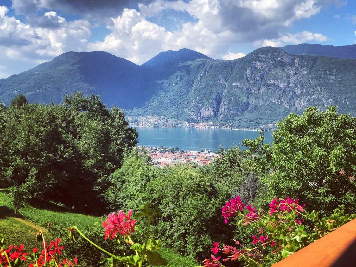 Agriturismo La Selvaggia แมนเดลโล เดล ลาริโอ ภายนอก รูปภาพ